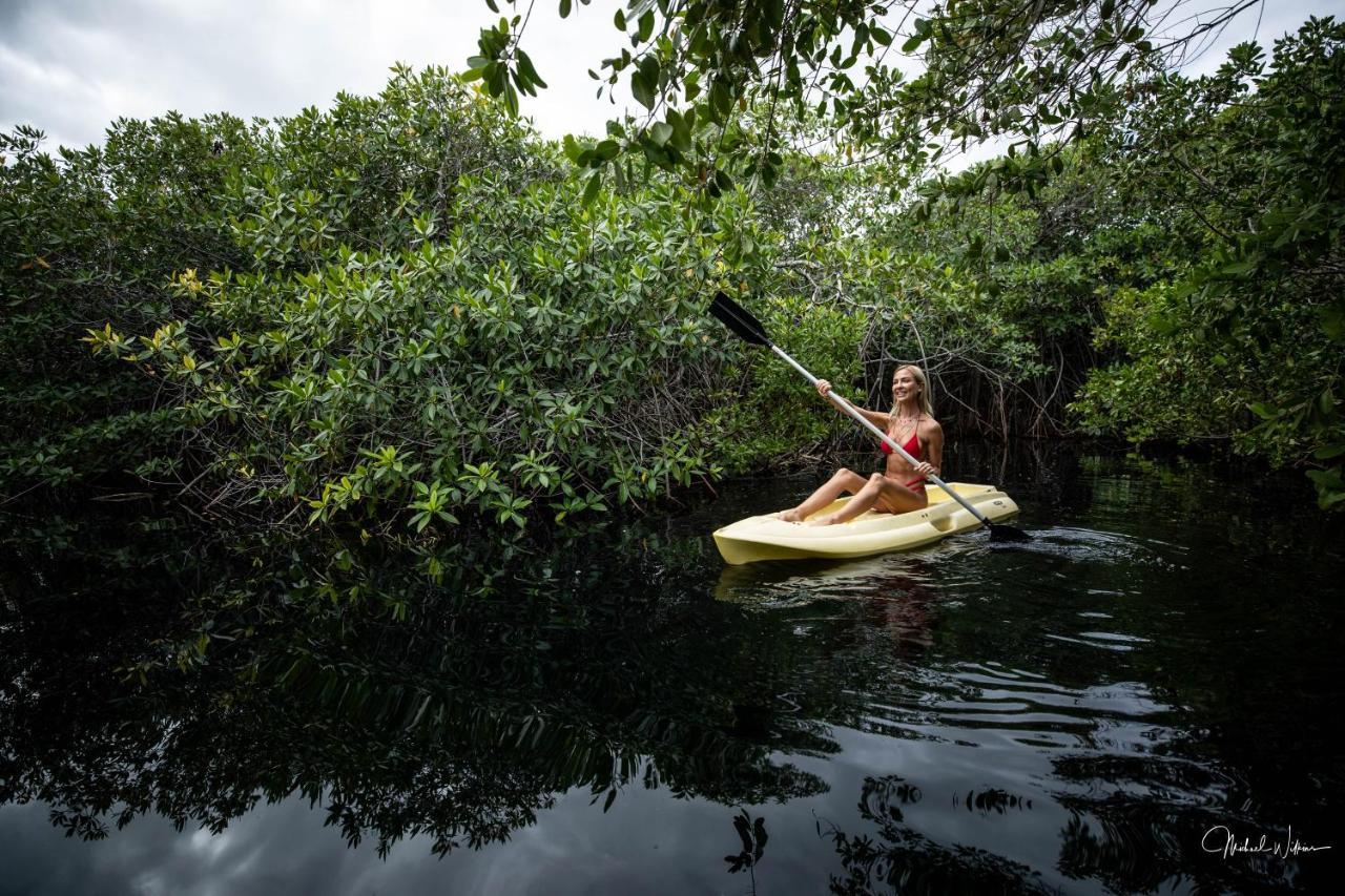 Manglex Eco Hotel Tulum Dış mekan fotoğraf
