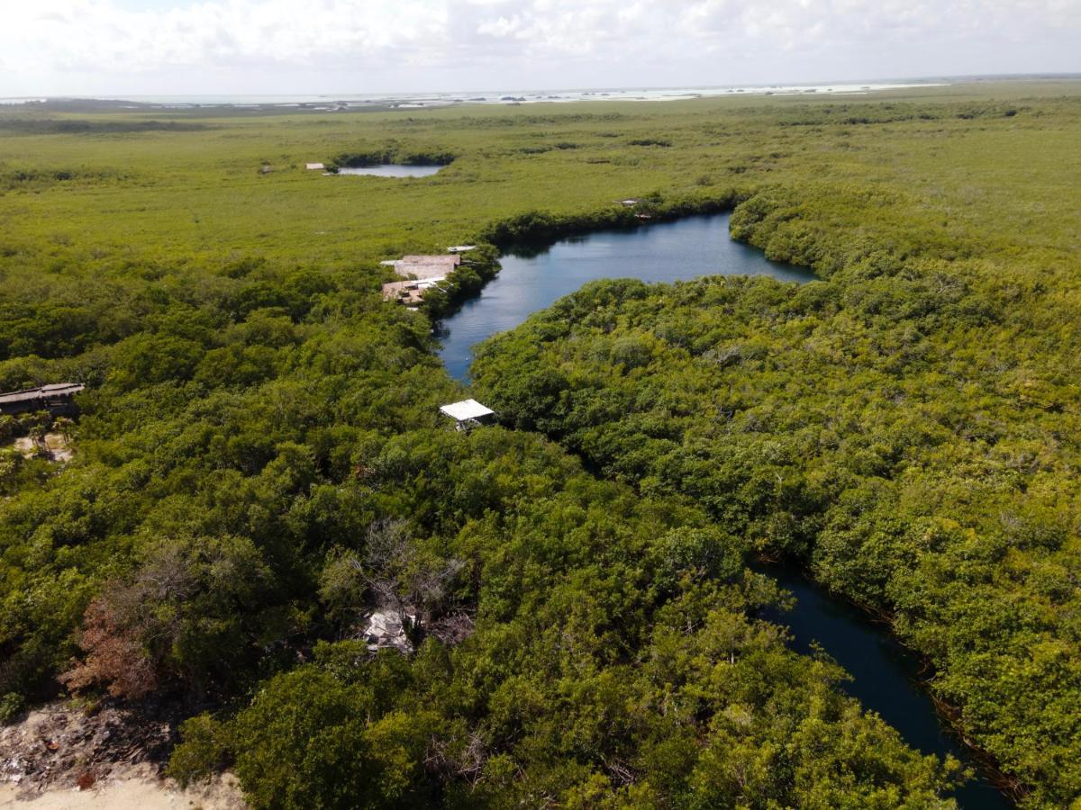 Manglex Eco Hotel Tulum Dış mekan fotoğraf