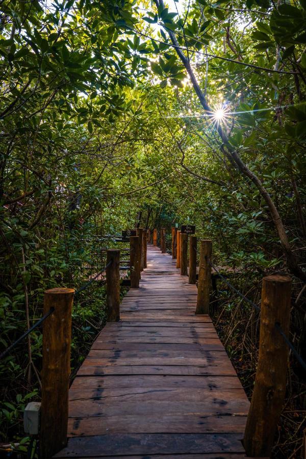 Manglex Eco Hotel Tulum Dış mekan fotoğraf