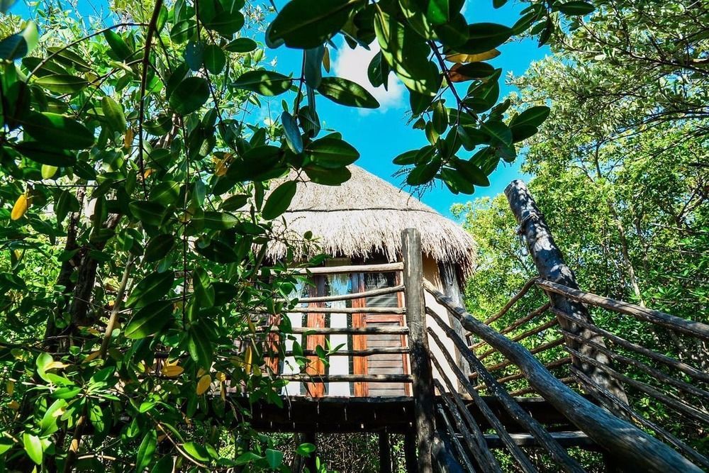 Manglex Eco Hotel Tulum Dış mekan fotoğraf