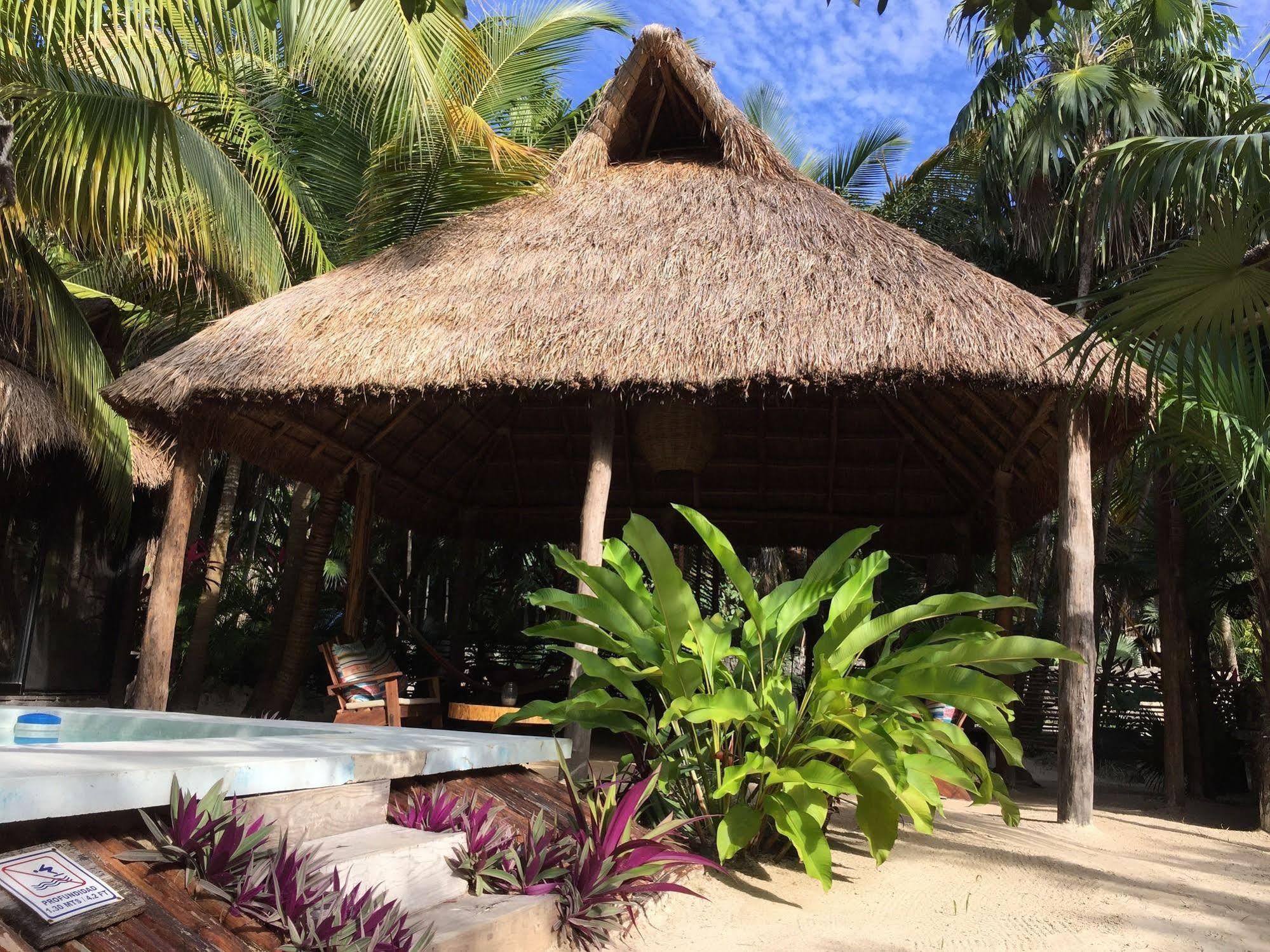 Manglex Eco Hotel Tulum Dış mekan fotoğraf
