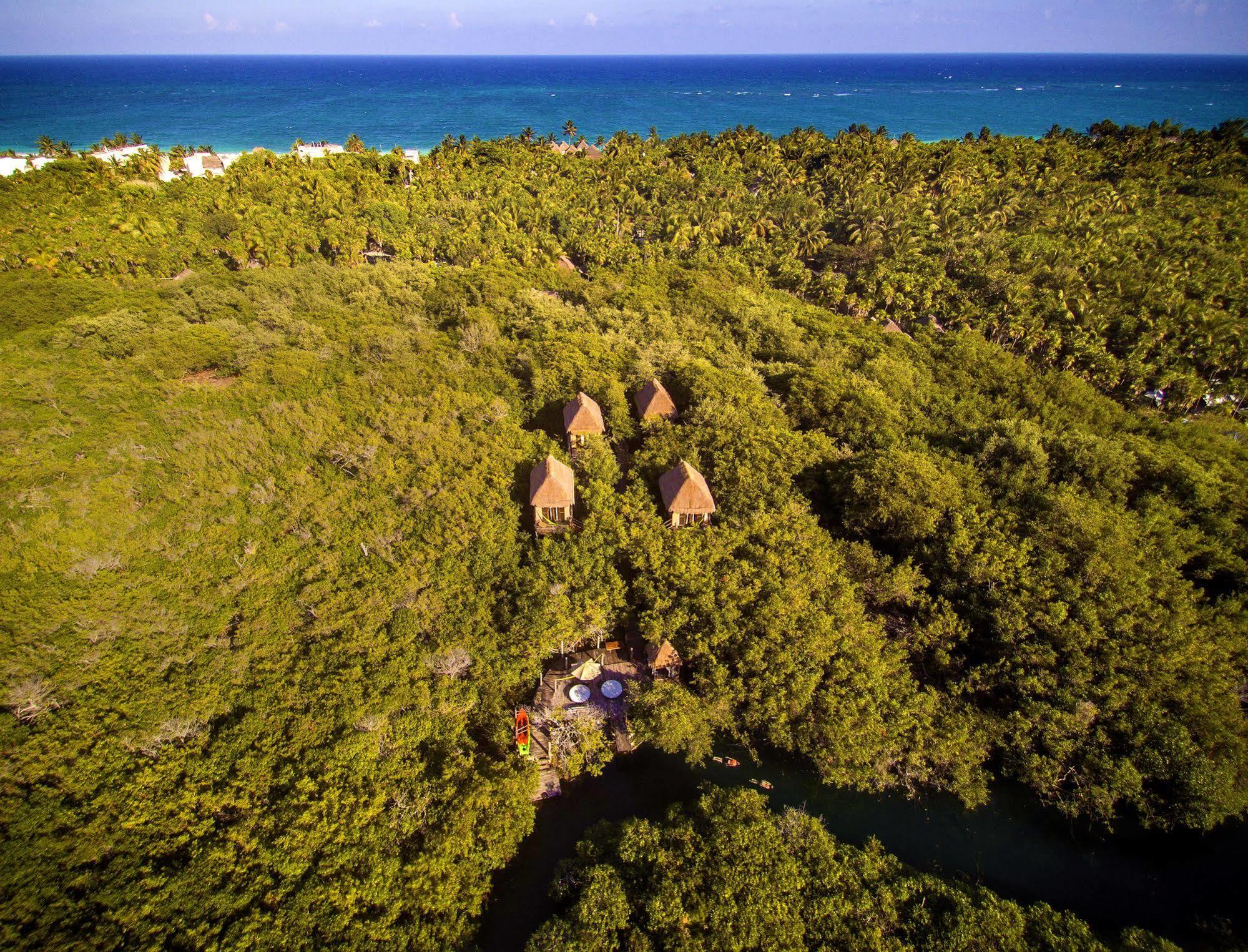 Manglex Eco Hotel Tulum Dış mekan fotoğraf