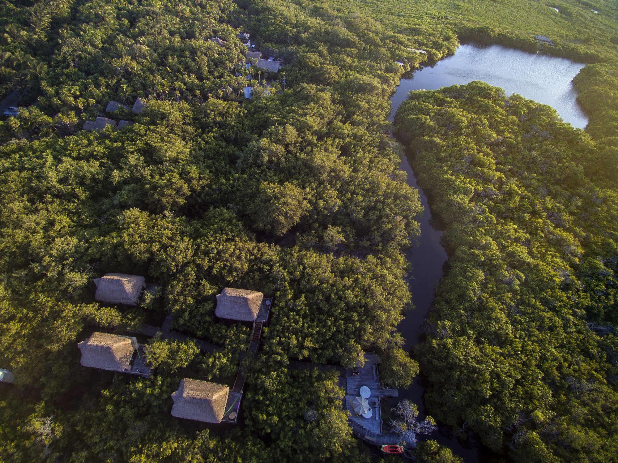 Manglex Eco Hotel Tulum Dış mekan fotoğraf