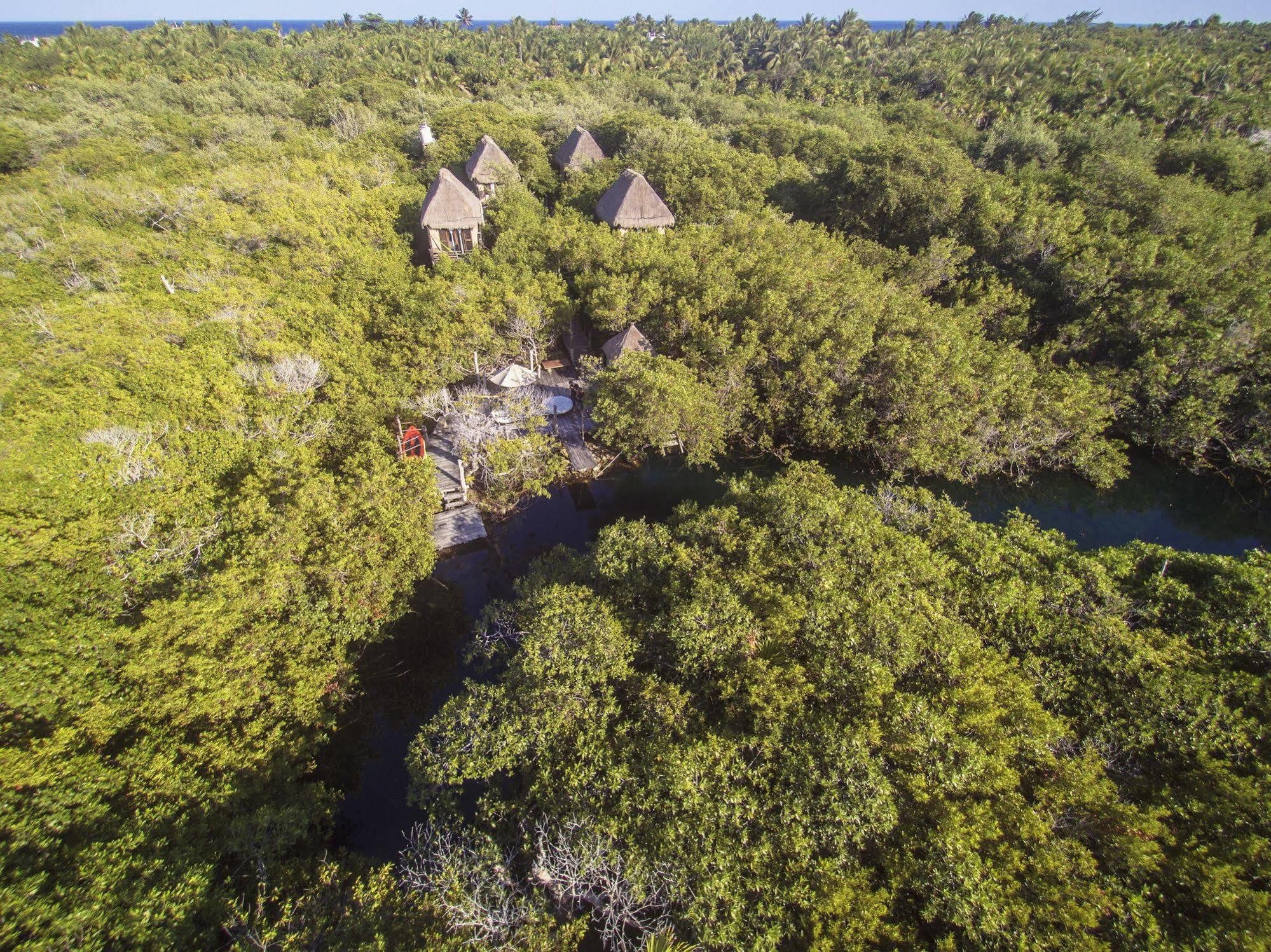 Manglex Eco Hotel Tulum Dış mekan fotoğraf