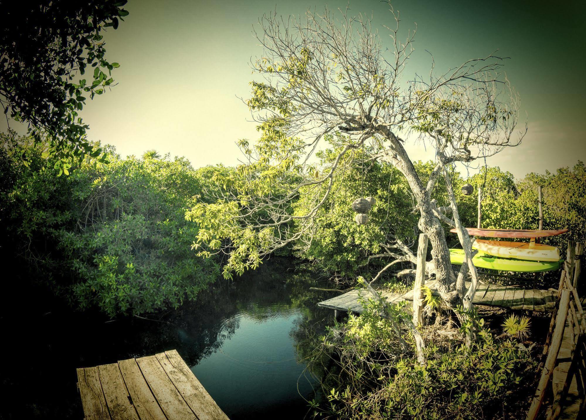 Manglex Eco Hotel Tulum Dış mekan fotoğraf