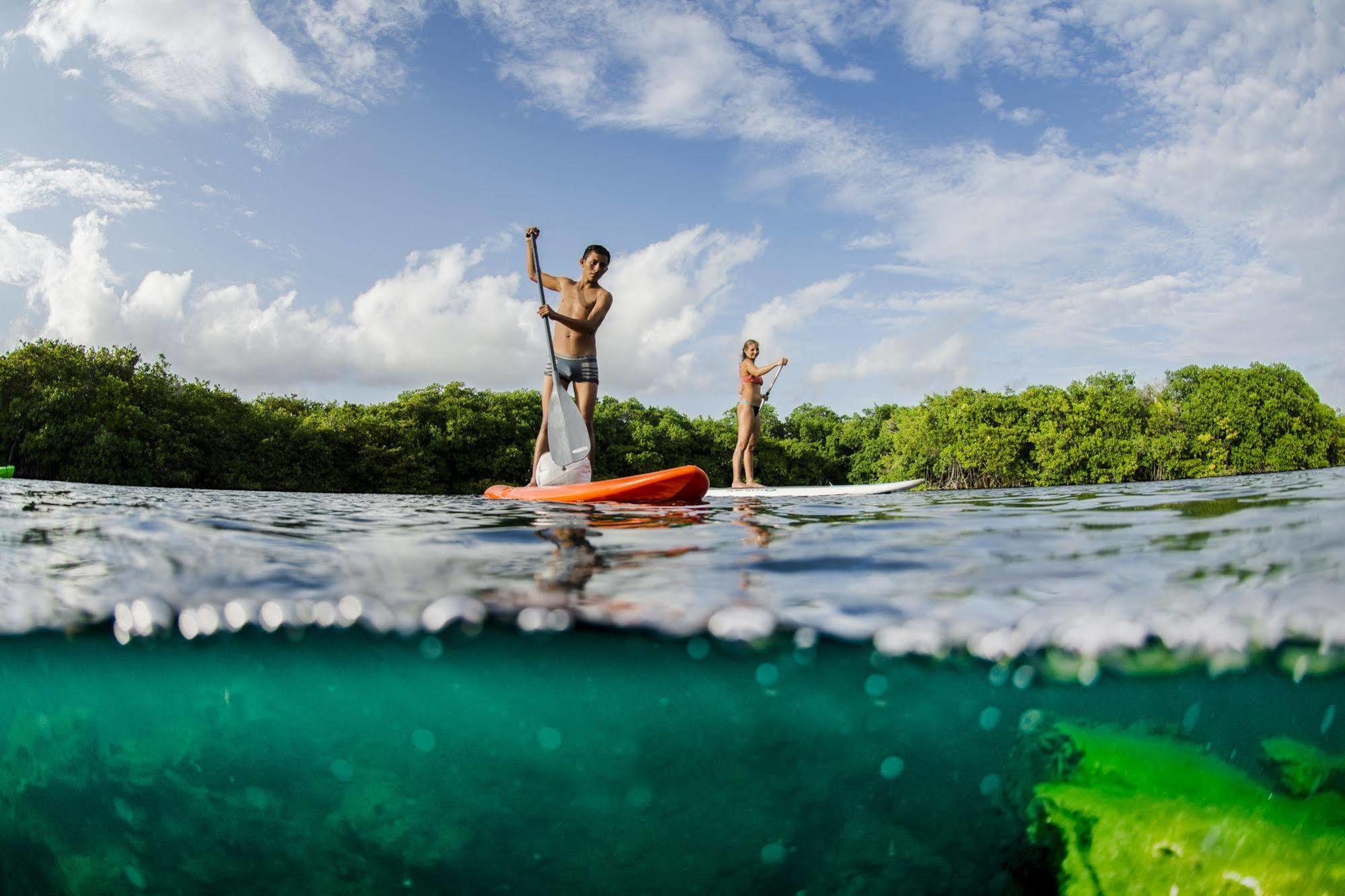 Manglex Eco Hotel Tulum Dış mekan fotoğraf