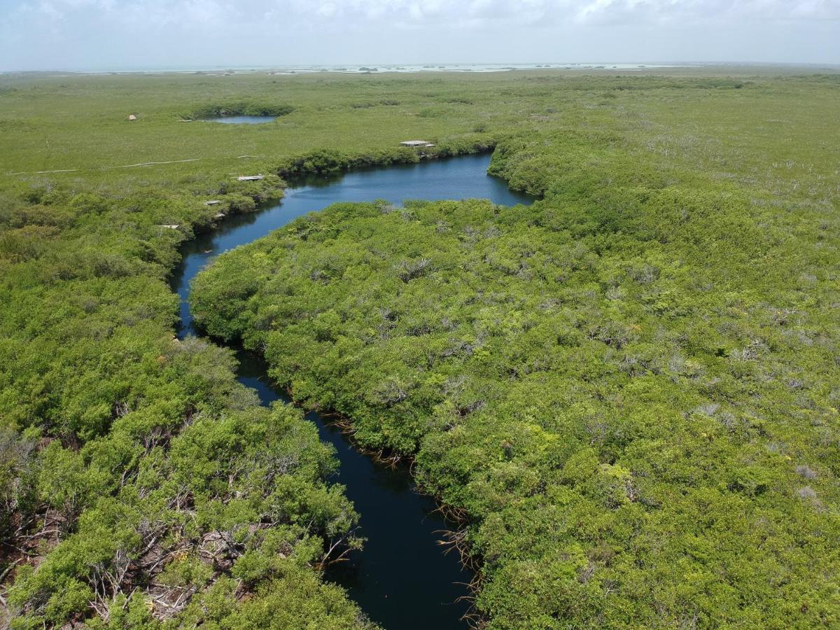 Manglex Eco Hotel Tulum Dış mekan fotoğraf